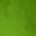 Lime green color swatch