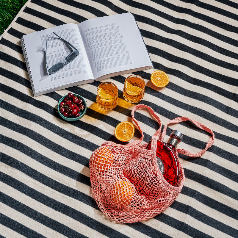 Open book, glasses of juice, fruit, and a pink mesh bag on a striped picnic blanket