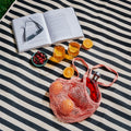 Open book, glasses of juice, fruit, and a pink mesh bag on a striped picnic blanket